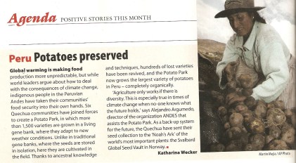 Artikel New Int Clipping